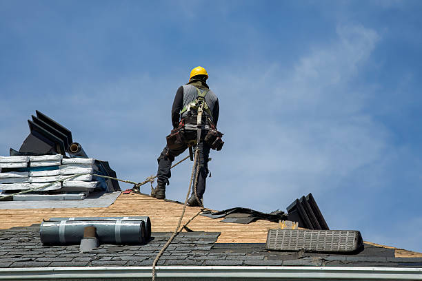Professional Roof Replacement technician working in Arvilla, ND